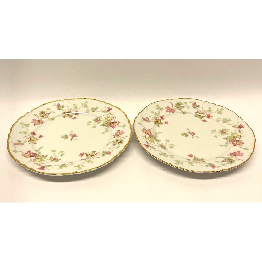 Hutschenreuther Selb Maple Leaf 7578 7.5" Salad Plates Set of 2-Gold Trim Pasco